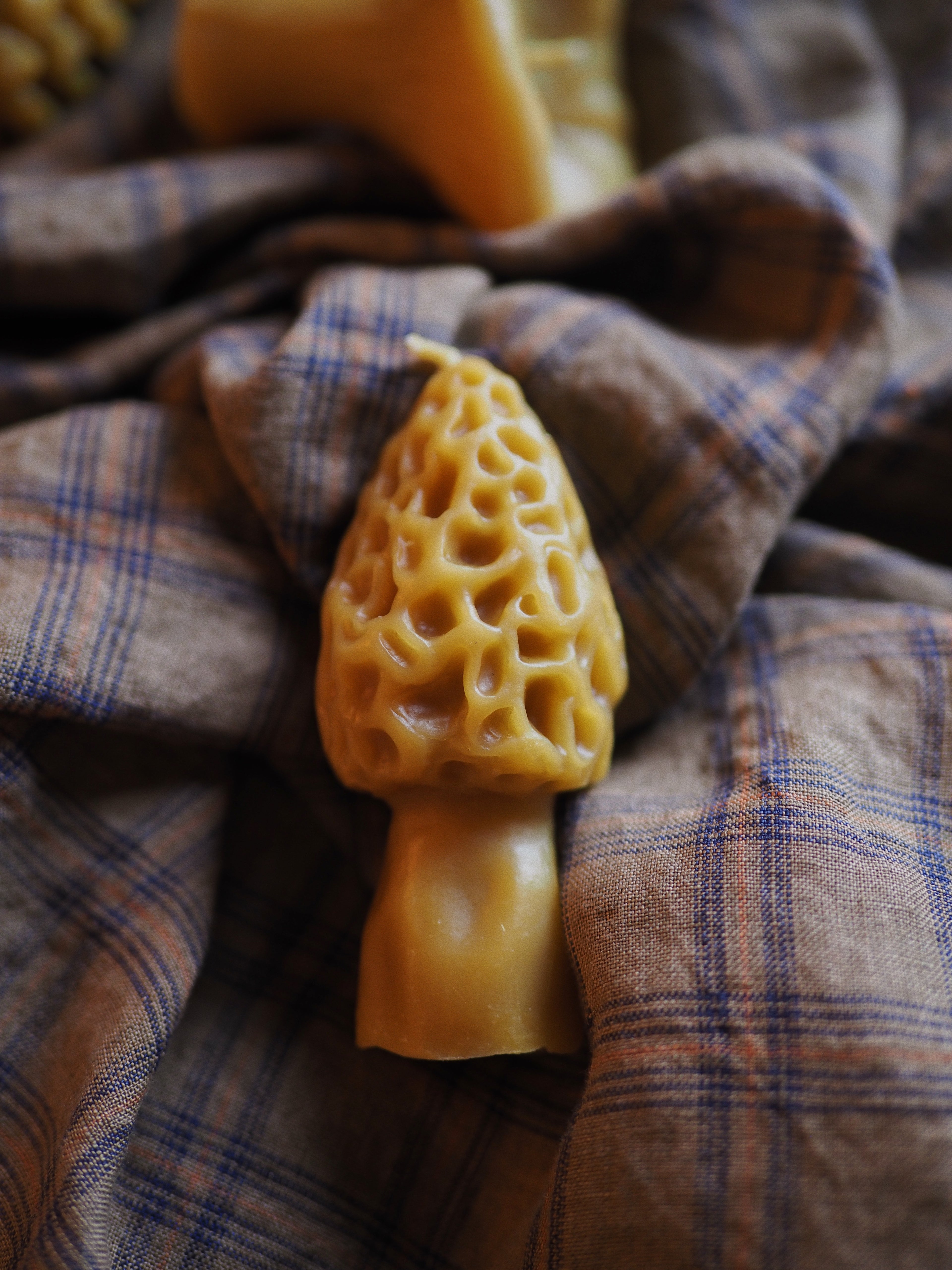 Beeswax Morel Mushroom