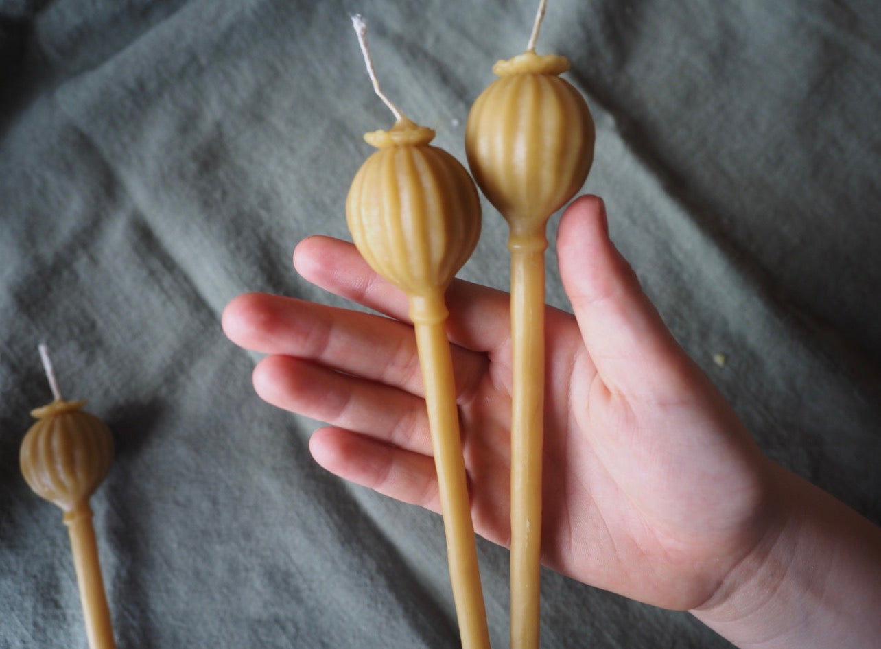 Beeswax Poppy pod candle