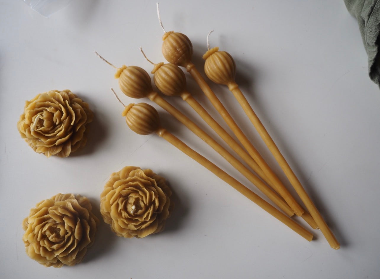 Beeswax Poppy pod candle