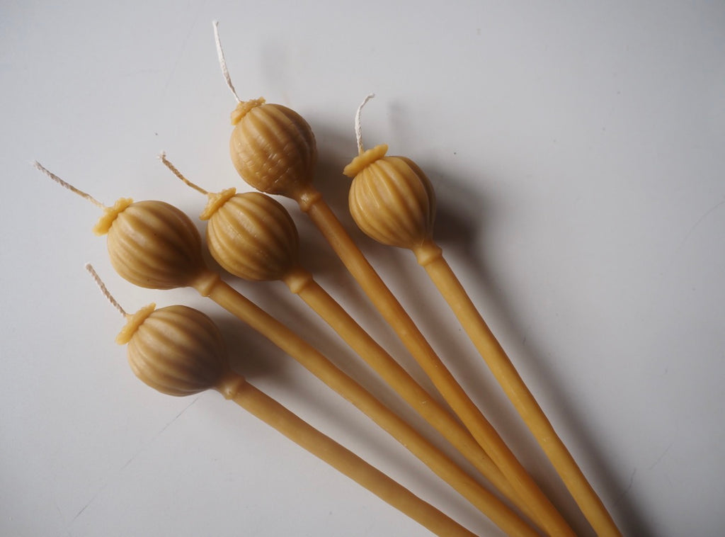 Beeswax Poppy pod candle