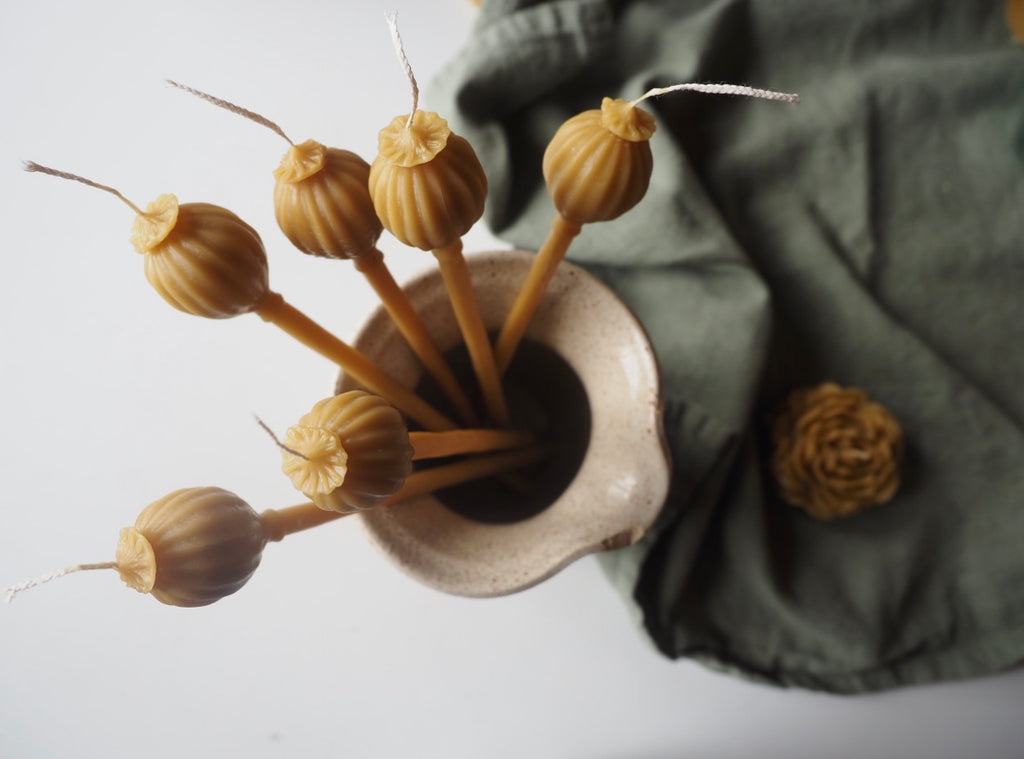 Beeswax Poppy pod candle